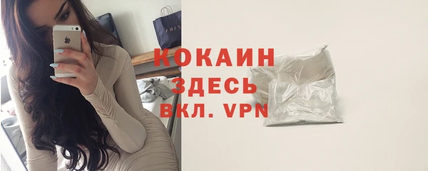 хмурый Ладушкин