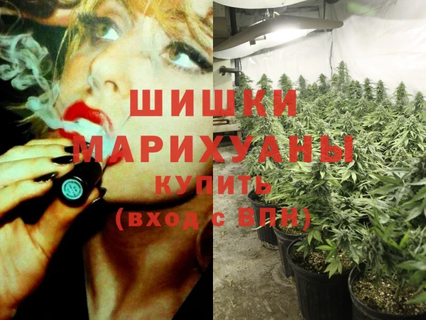 PSILOCYBIN Липки