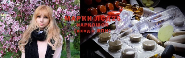 PSILOCYBIN Липки