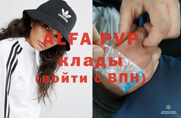 хмурый Ладушкин